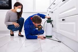 Best Residential Pest Control  in St George, UT