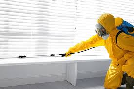 Best Termite Inspection and Treatment  in St George, UT